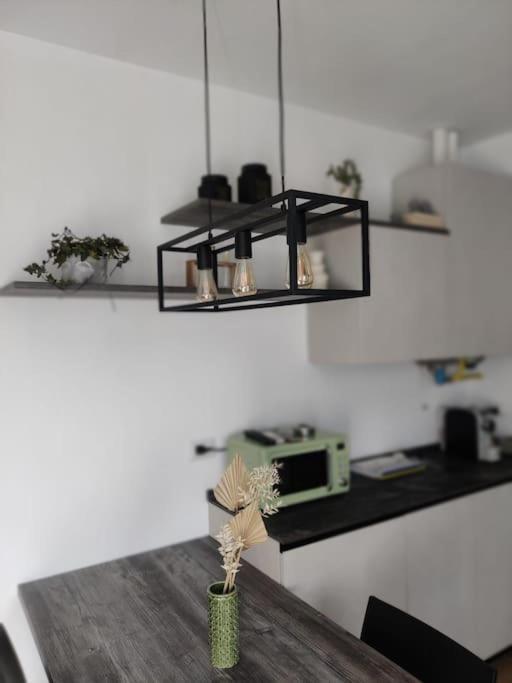 Casa Camelia - Appartamento In Centro A Seregno Exteriér fotografie